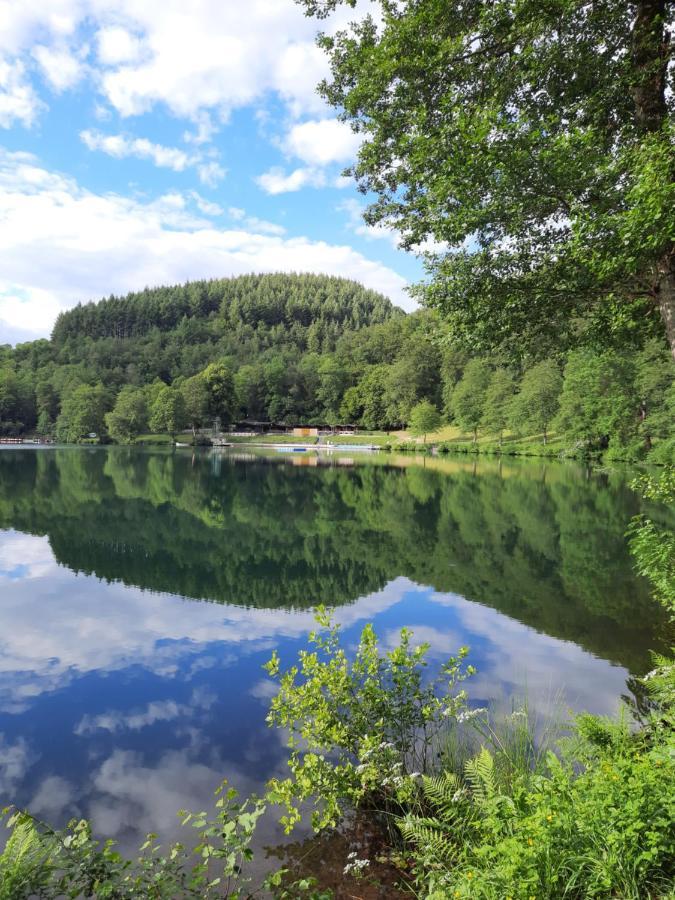 Appartamento Ferien Am Maar Daun Esterno foto